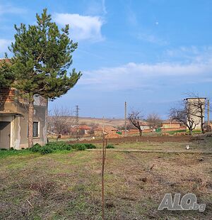 image_8
