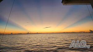 image_25