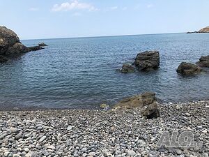 image_15