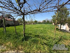 image_12