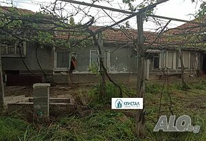 image_6