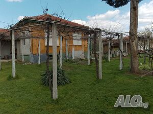 image_9