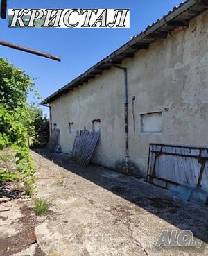 image_6
