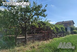 image_7