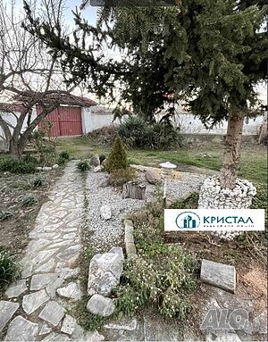 image_7