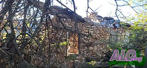 image_6