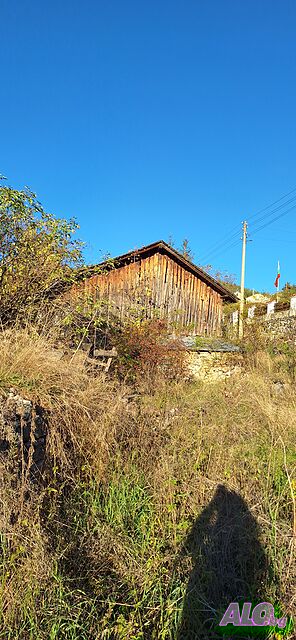 image_7