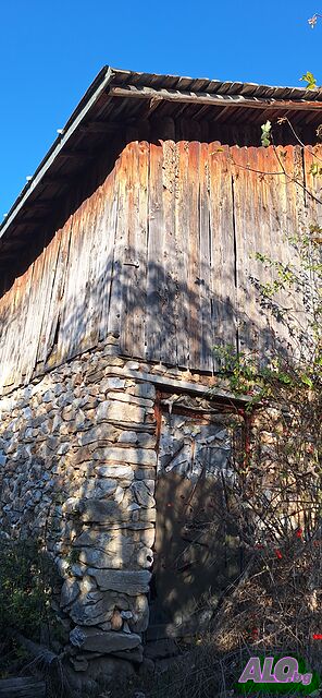 image_10