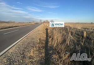 image_5