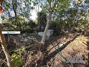 image_11