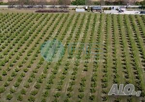 image_7