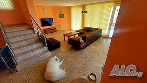 image_7
