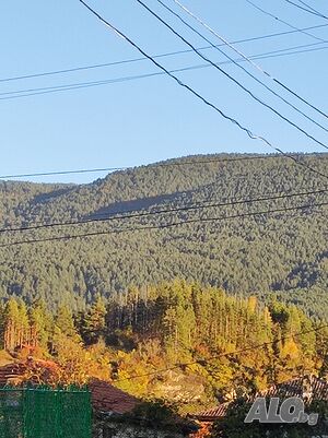 image_13