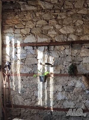 image_14