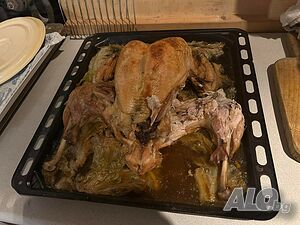 image_35