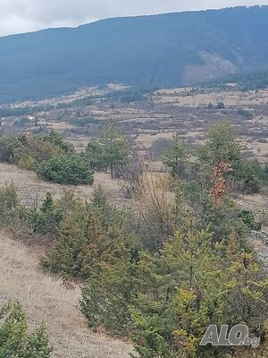 image_43