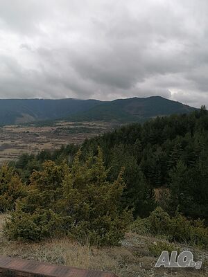 image_8