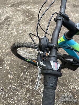 image_4