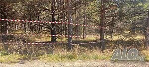 image_10