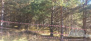image_11