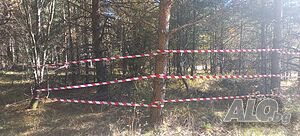 image_12