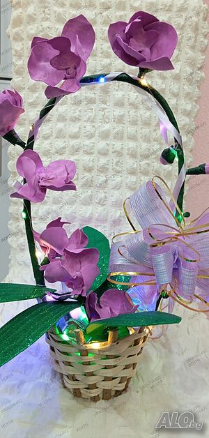 image_6