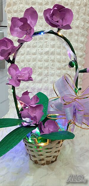image_8