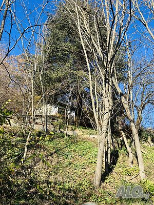 image_7