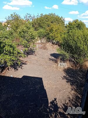 image_10