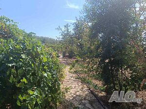 image_14