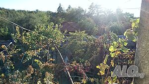 image_11
