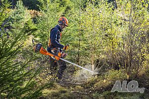 image_21