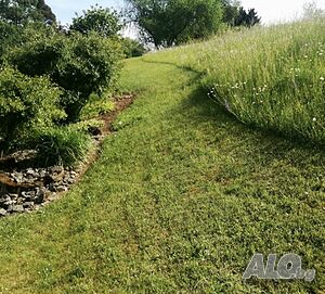 image_17