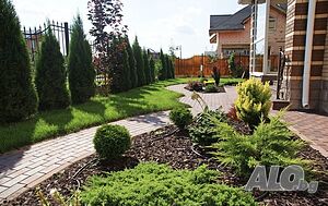 image_10