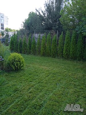 image_8
