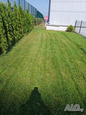 image_9