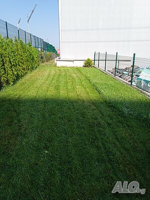 image_11
