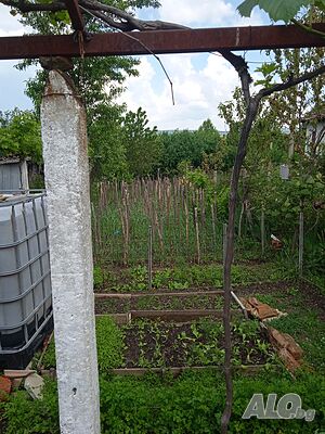 image_8