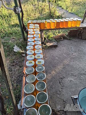 Продава се пресен мед.