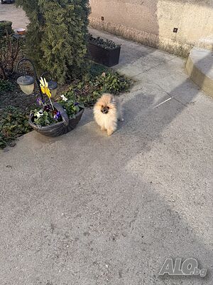 image_3