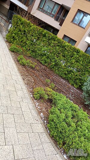 image_4