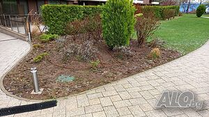image_8