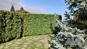 image_15
