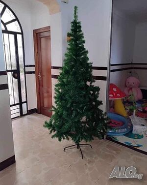 image_3