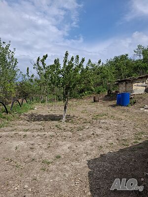 image_10