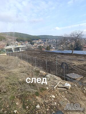 image_3