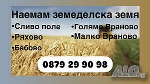 Наемам земеделска земя в Сливо поле, Ряхово, Бабово, Голямо Враново и Малко Враново