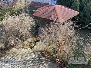 image_12