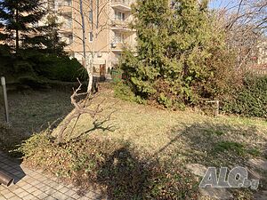 image_15