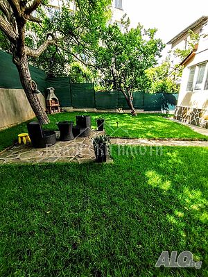 image_6